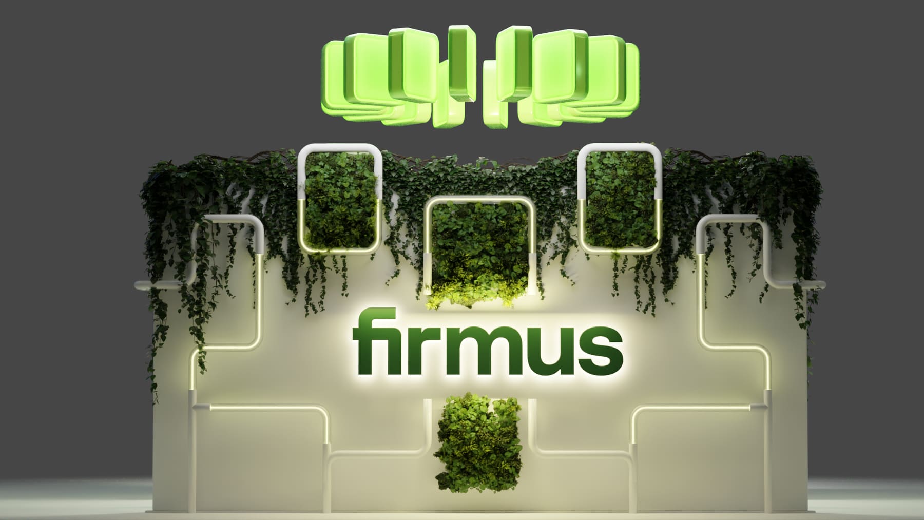 Firmus Layout